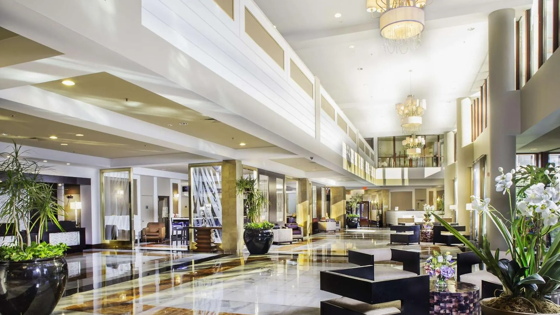 ***  LaGuardia Plaza Hotel New York Stati Uniti